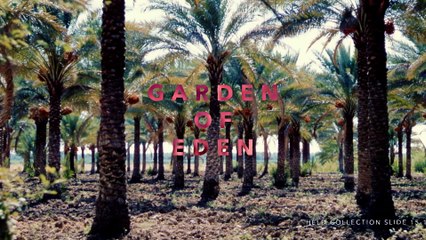 See How Life Has Changed in the Middle East Over 58 Years  Short Film Showcase