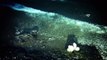Mariana Trench Deepest Place on Earth