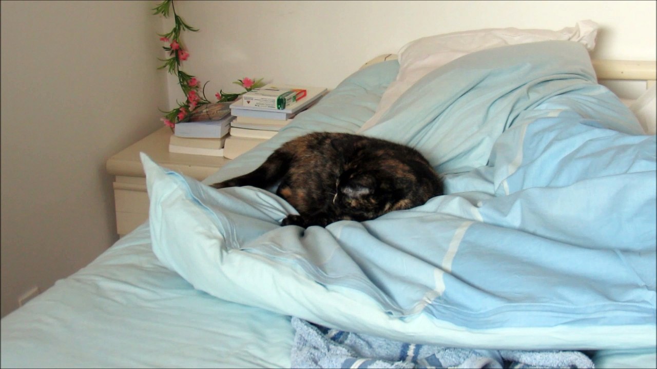 Ondine cherche Caramel
