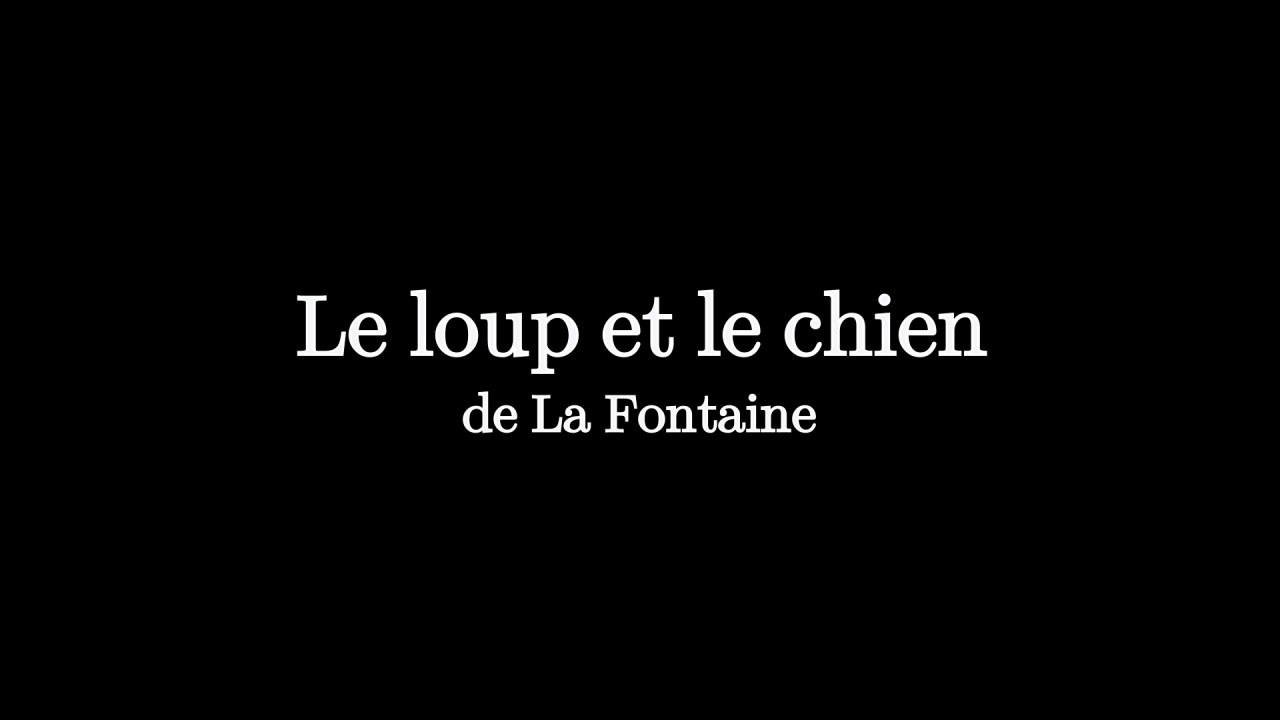 Le loup et le chien