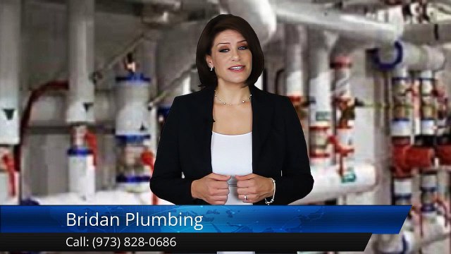 Clifton Best Plumbing Companies – Bridan Plumbing - Clifton Incredible Five Star Review