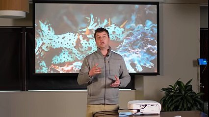 BenQ HT2550 4K HDR Projector - Hands On Review