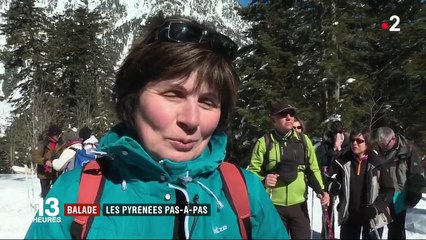 Balade : les Pyrénées pas-à-pas