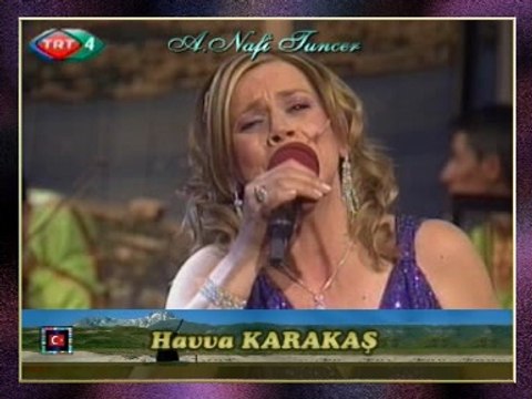 Havva KARAKAŞ - Kara Üzüm Salkımi