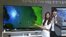 LG전자, 음성 인식 인공지능 탑재 TV 출시 / YTN