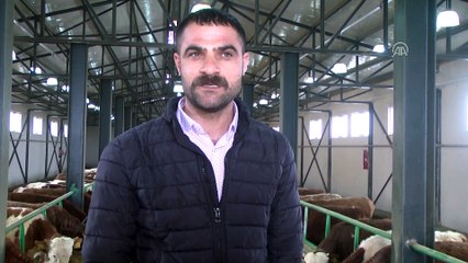 TKDK'den aldığı hibe desteğiyle çiftlik kurdu - MUŞ