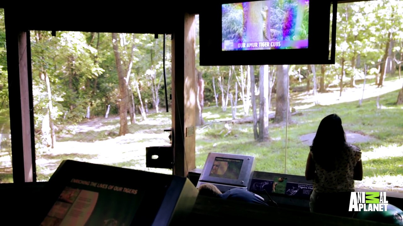 The Bronx Zoo Animal Planet 2016