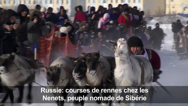 Les nomades nenets s'affrontent dans des courses de rennes
