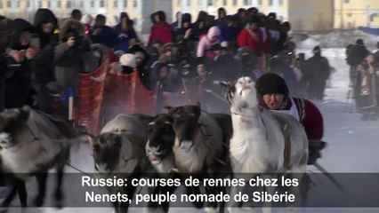 Les nomades nenets s'affrontent dans des courses de rennes