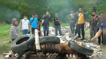 شاهد: العثور على نمر سومطرة مقتول ومُعلق في إندونيسيا