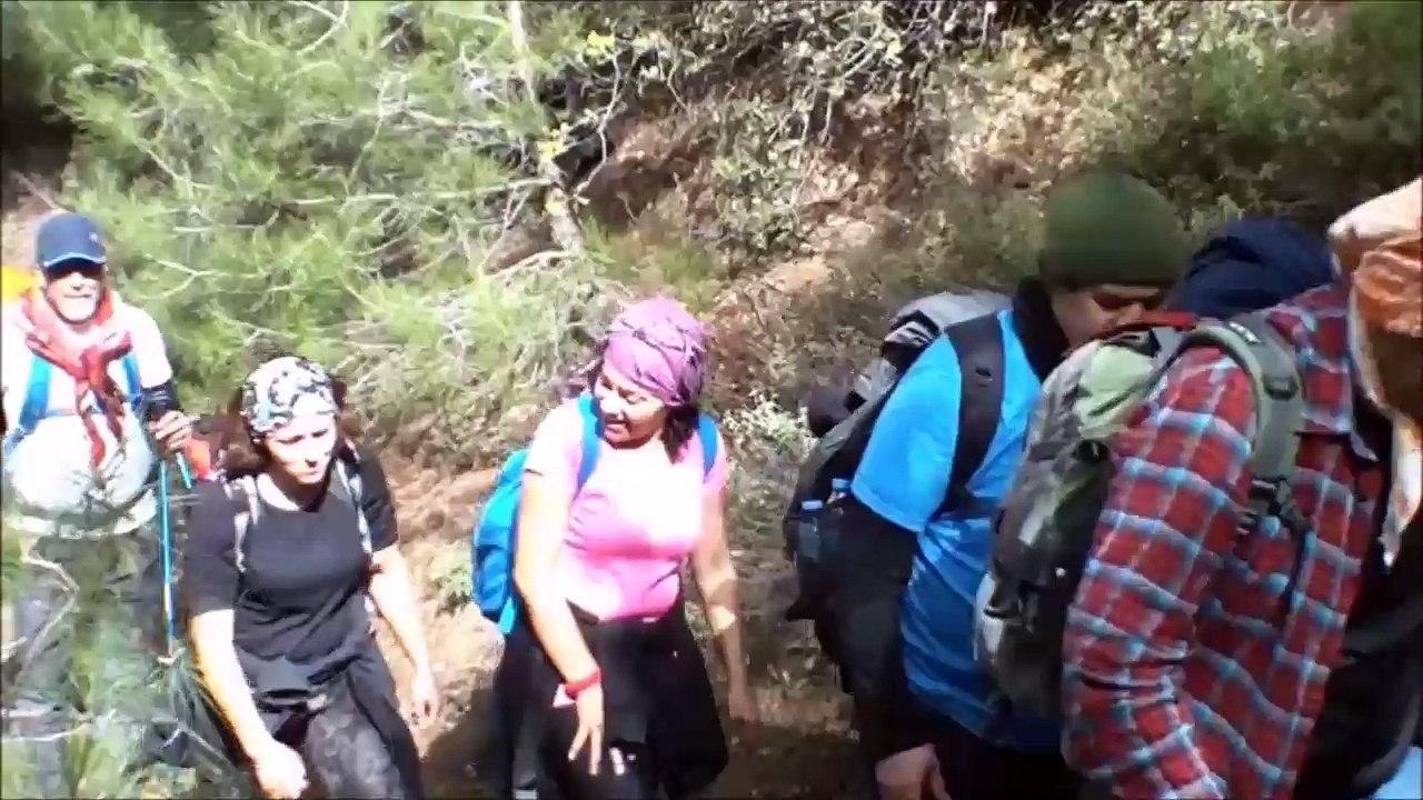 Hamzababa Parkuru 04.03.2018