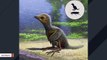 One Of The Smallest Baby Bird Fossils Discovered Is 127 Million Years Old