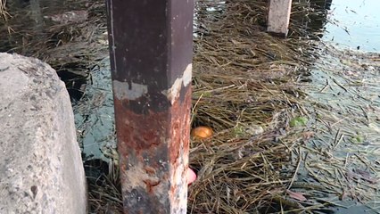 가뭄 끝 단비는 내렸지만..."해갈에는 턱없이 부족" / YTN