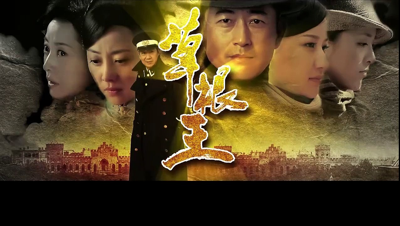 年代剧《草根王》22 主演 王志飞 张国立 刘蓓 王奎荣