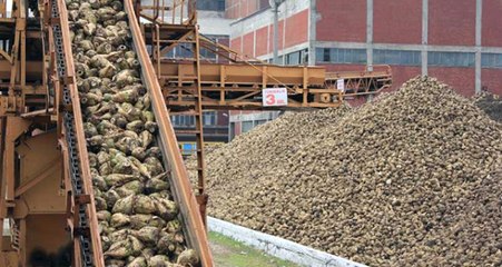 AK Parti Sözcüsü Ünal: Şeker Fabrikalarının Özelleştirilmesine Erdoğan'ın Müdahalesi Olmayacak