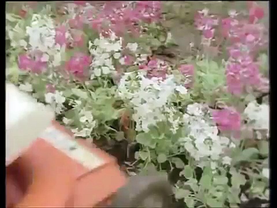 [MP4 360p] So Funny Whatsapp Video 2014 _ Whatsapp Comedy Video Clip