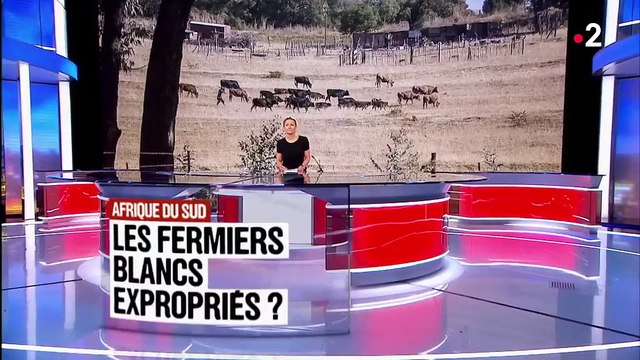 Afrique du Sud : les fermiers blancs expropriés ?