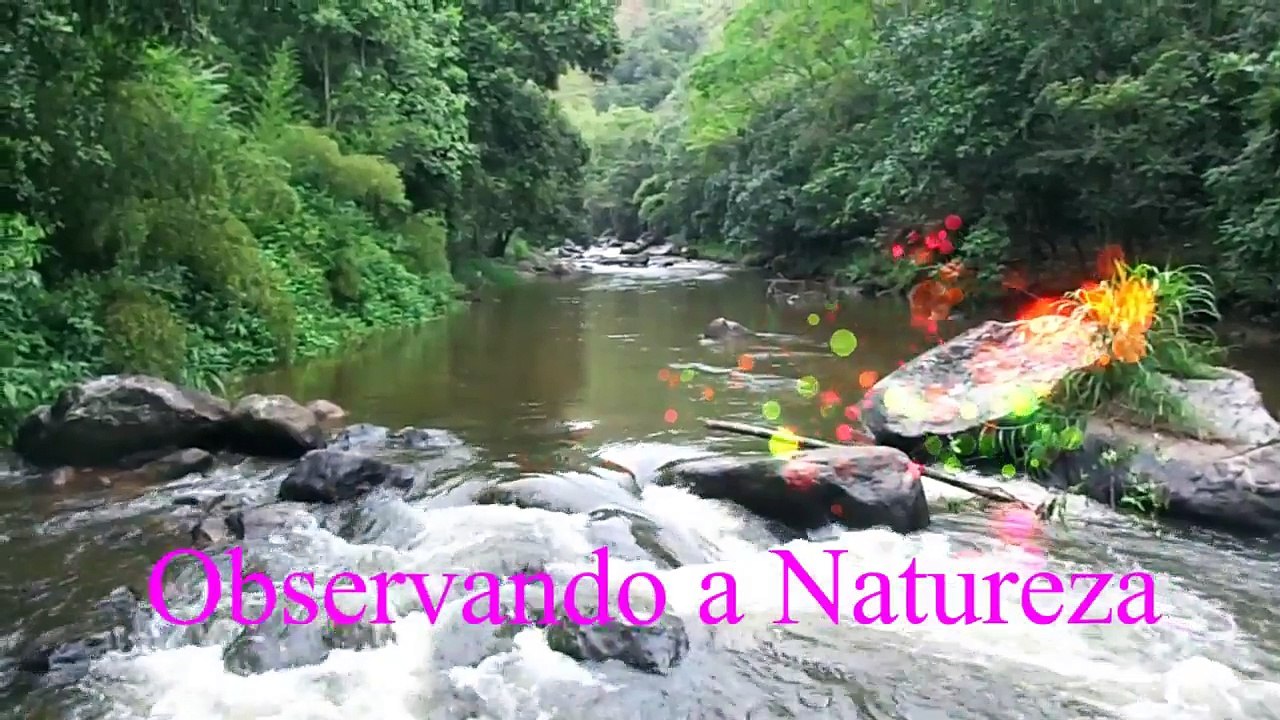 canal há resistência (um canal de vídeos variados,voce vai gostar)