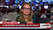 Ex-Trump aide Sam Nunberg tells Katy Tur that Mueller probably has dirt on Trump in bizarre 20-min interview