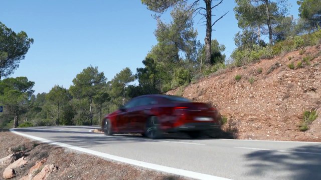 Mercedes-Benz CLS 450 4MATIC in Red metallic Driving in the country