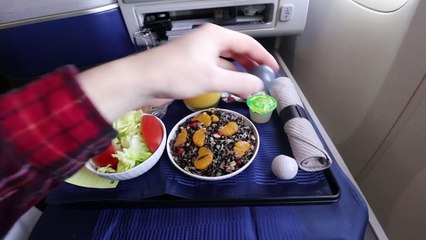 Impressive Flight in UNITED POLARIS Business Class: 777-300ER Review San Francisco to Frankfurt!