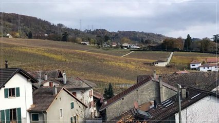 A louer - Appartement - Rolle (1180) - 4.5 pièces - 110m²