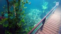 Heavy Rains Transform Brazilian Hiking Trail into Underwater Paradise