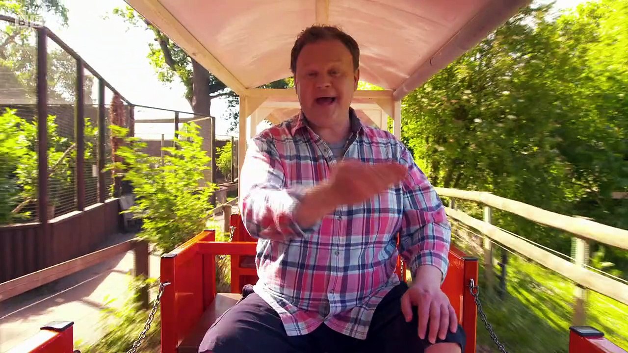 Something Special.s11e06.Animal Keeper