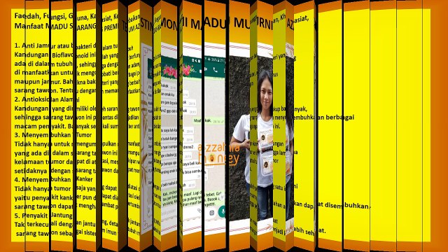 Garansi Uang Kembali, WA +62 813-9855-0306, Sarang Lebah