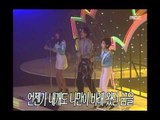인기가요 베스트 50 - Lee Min-gyu - Lady, 이민규 - 아가씨, MBC Top Music 19970315