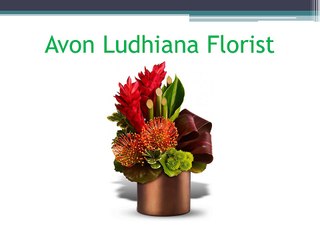Ludhiana Florist