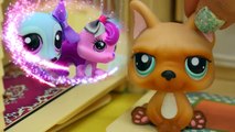 Cheater Taco Eater - LPS Mommies Series Littlest Pet Shop - Part 67 Cookieswirlc Video