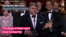 ‘The Shape Of Water’ Wins Best Picture