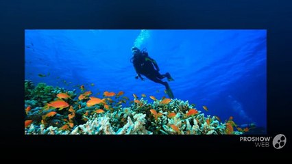 Important Things to be considered before Going for Diving