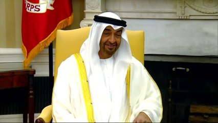 Emails show UAE-linked lobbying effort to oust Tillerson: reports