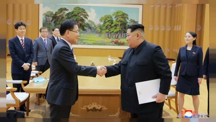 Güney Kore'den Kuzey'e tarihi ziyaret