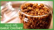 Dry Red Chilli Garlic Chutney In Telugu | Chutneys Recipes | వెల్లుల్లి చట్నీ | Spicy Garlic Powder