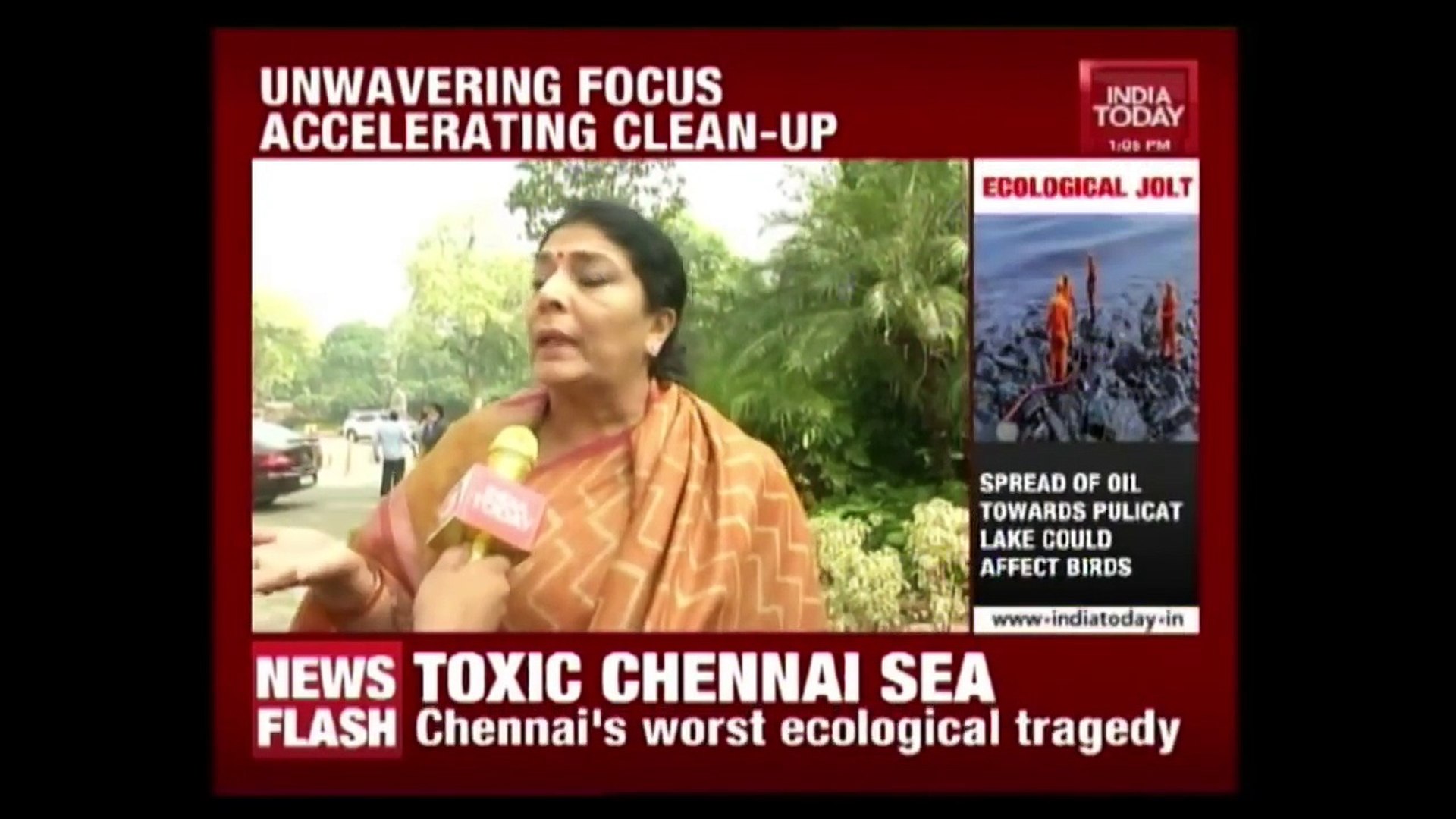 60 Tonnes Of Slug Removed In The Massive Cleanup At Chennai Coastal