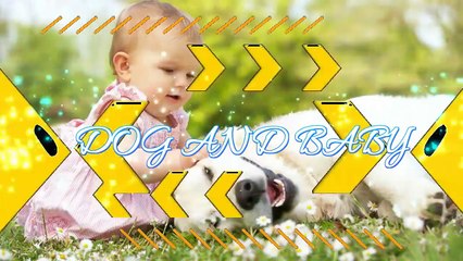 Little Chihuahua protects and takes care Baby