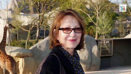 Testament de Johnny, Nathalie Baye sort de son silence