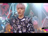 [HOT] 2013년 최고 대세 EXO - Growl, 엑소 - 으르렁, Show Music core 연말결산 20131228