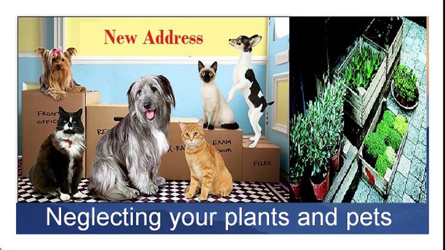 Mistakes should be avoided while doing relaoction to new place CallExperto.com