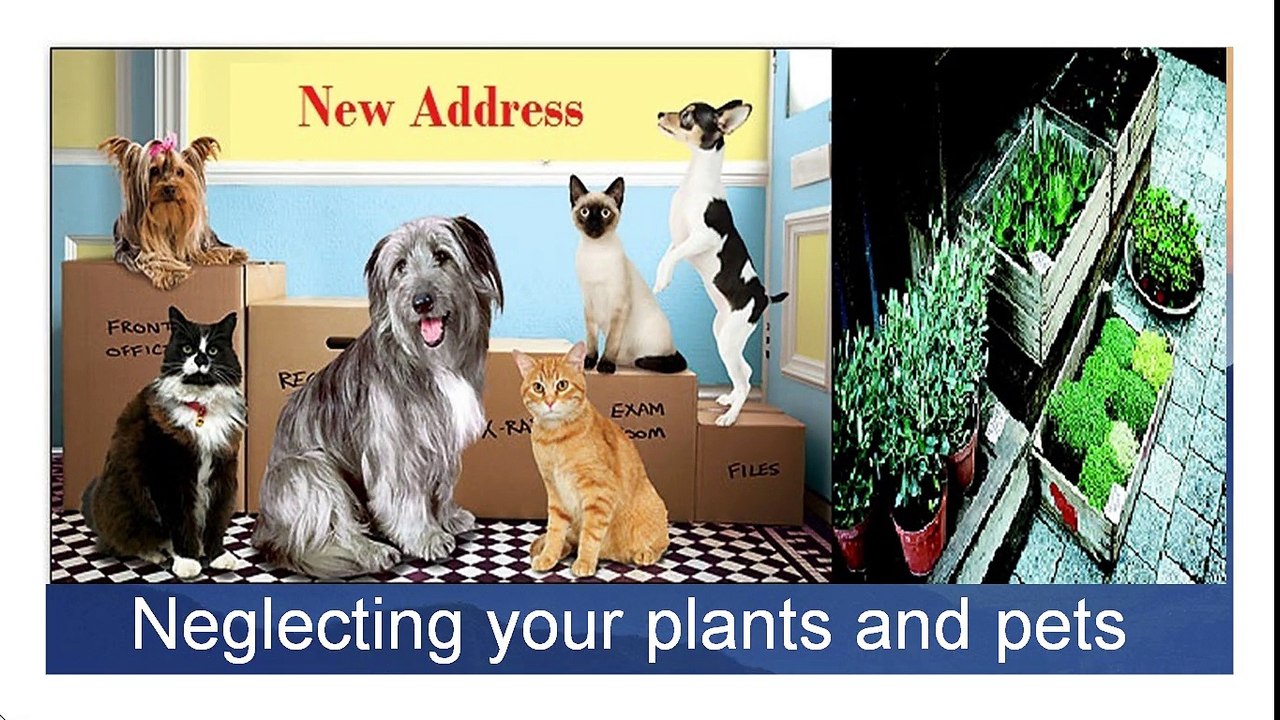 Mistakes should be avoided while doing relaoction to new place CallExperto.com