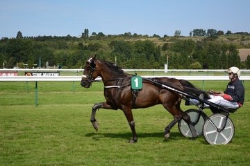Les différents types de course hippique