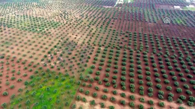 AA, Afrin'in Cinderes beldesini havadan görüntüledi - AFRIN
