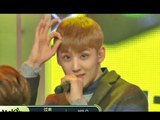 HALO - Come On Now, 헤일로 - 어서 이리온 now, Show Champion 20141126