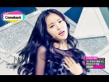 [Comeback Stage] Apink - LUV, 에이핑크 - 러브, Show Music core 20141122