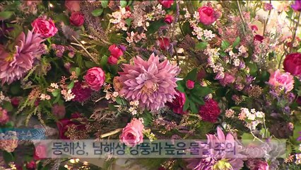 [날씨]내일 흐리고 큰 일교차…밤부터 곳곳 비