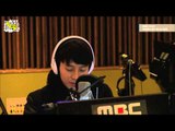 허경환의 별이 빛나는 밤에 - Jung Jun hyuk (Hlin) - The Wind Is Blowing, 정준혁 (홀린) - 바람이 분다 20141217