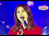[Comeback Stage] Navi - At the Han, 나비 - 한강앞에서, Show Music core 20150110